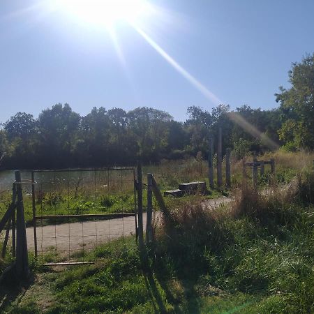 Gite La Pironniere - Piscine, Nature, Au Bord De La Riviere Montreuil-sur-Maine Екстер'єр фото