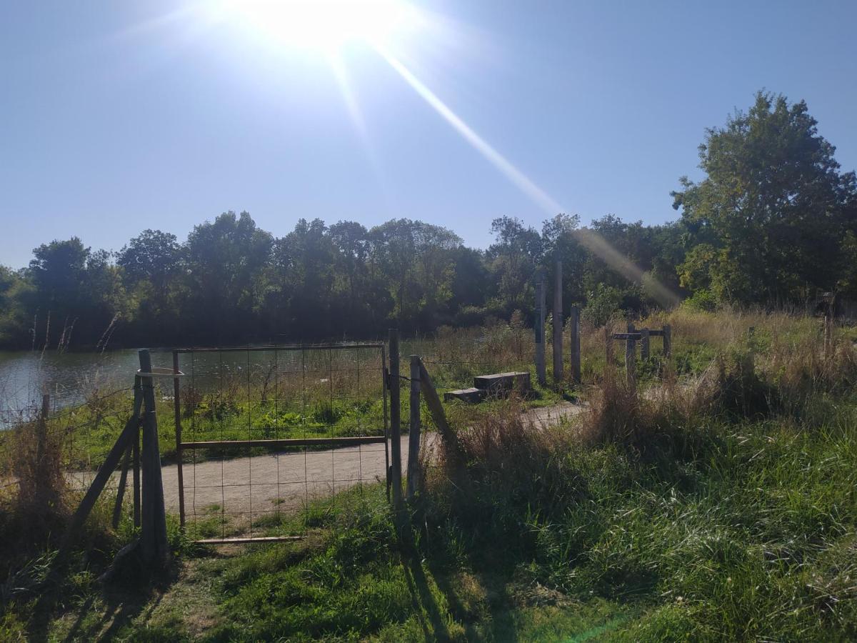 Gite La Pironniere - Piscine, Nature, Au Bord De La Riviere Montreuil-sur-Maine Екстер'єр фото